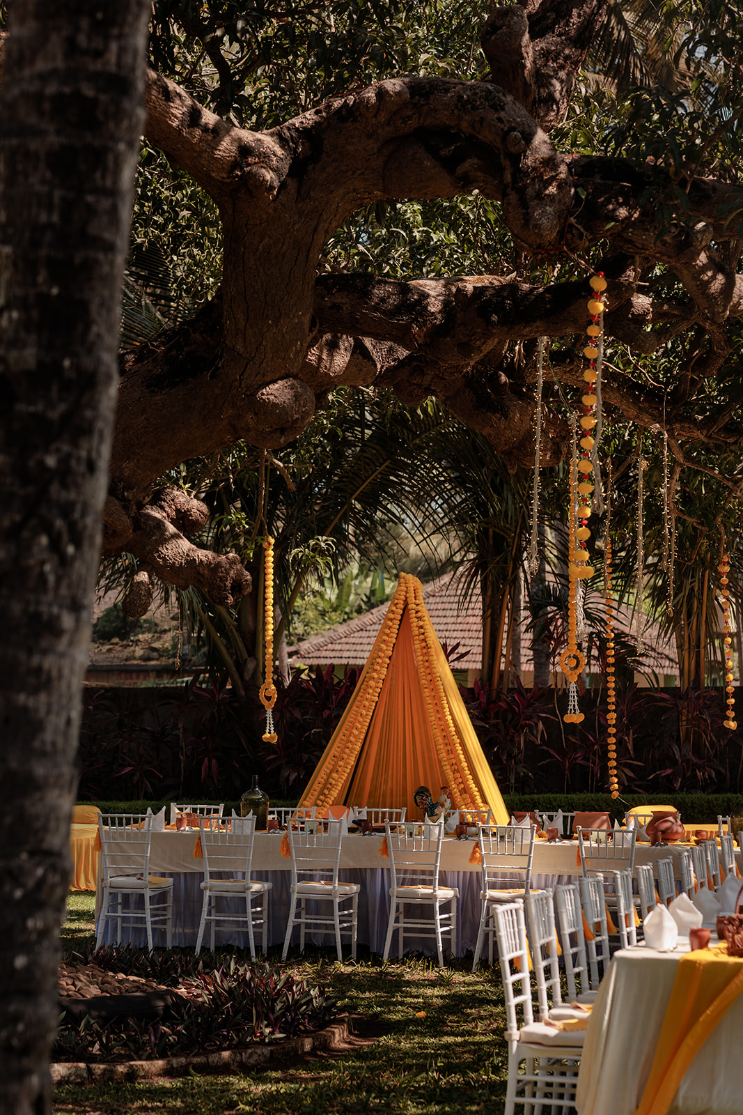 Wedding and celebration photography by Samesq Productions